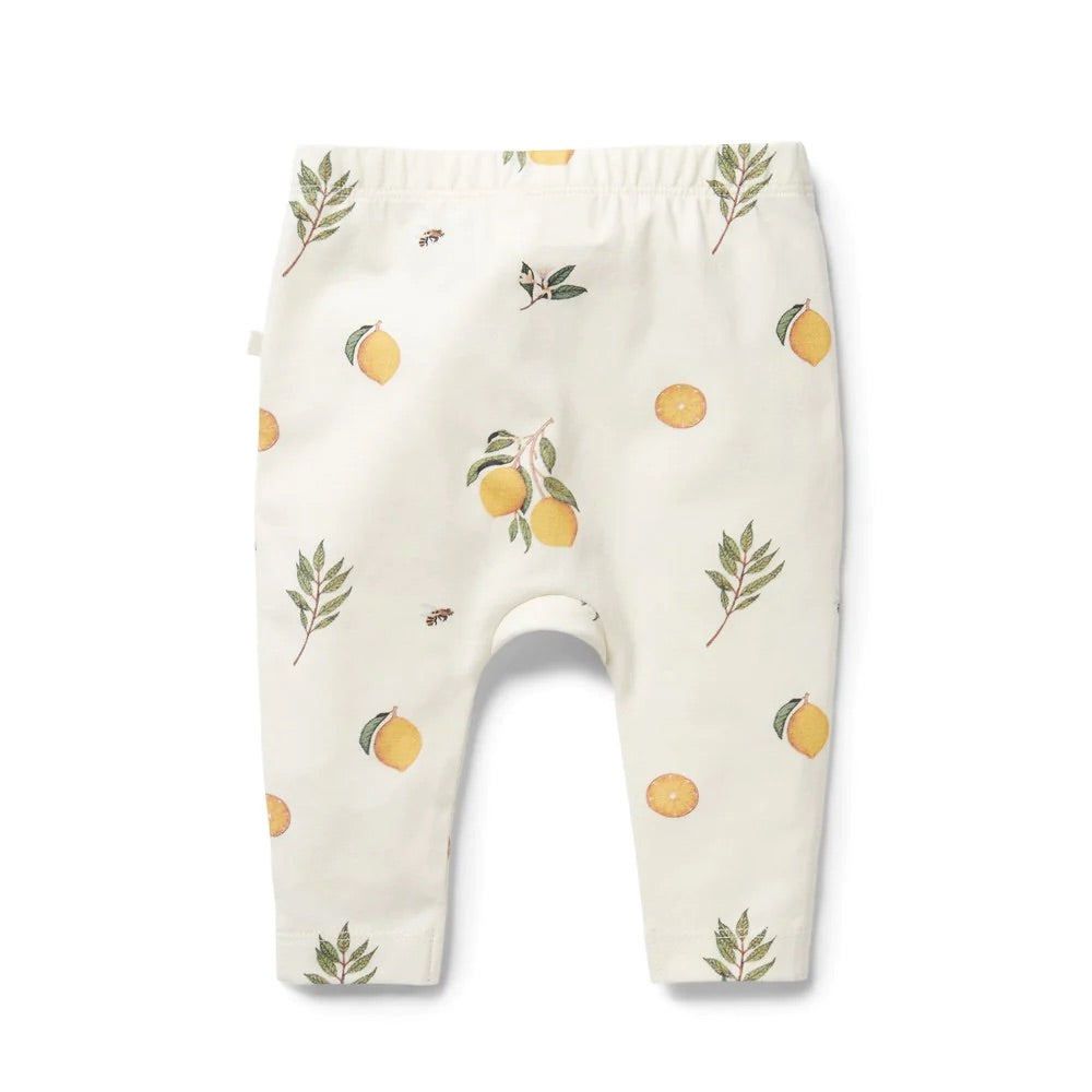 Wilson & Frenchy Organic Legging