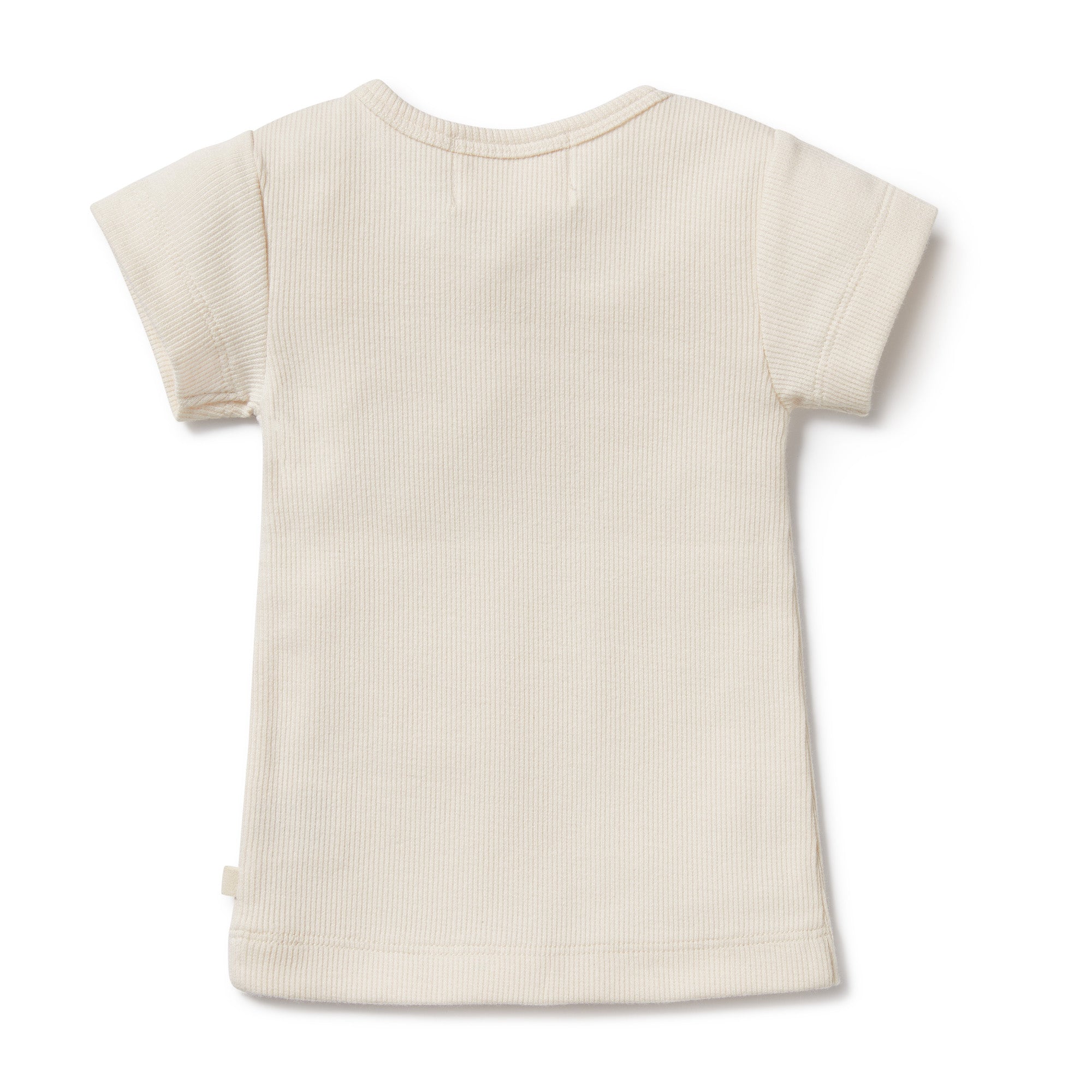 Tiny Turtle Organic Tee