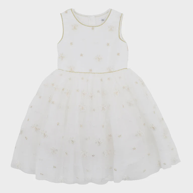 BUTTERFLY TUTU DRESS 3-7 YRS