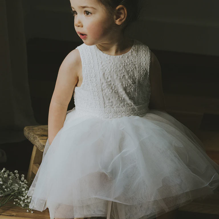 EMBROIDERED ORGANZA DRESS