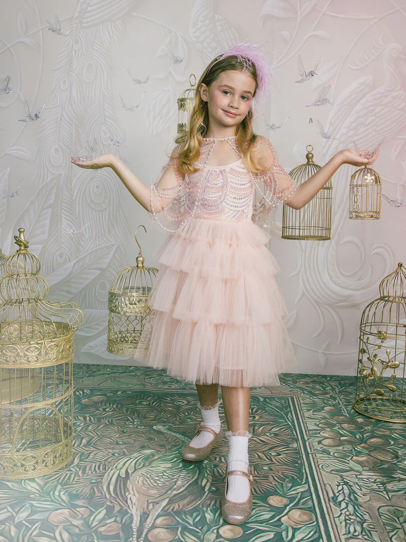 BLUSHING HORIZON TUTU DRESS